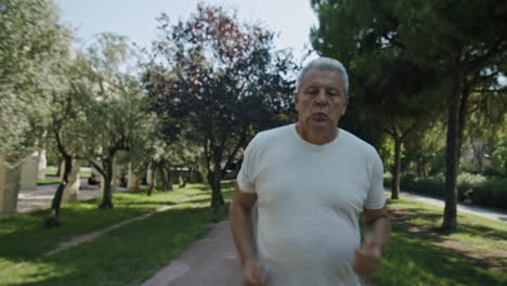 Jogger-running-in-the-park