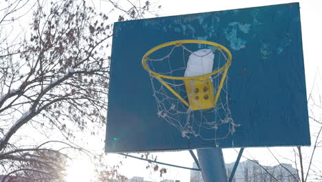 Old-basketball-backboard