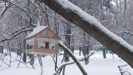Winter-bird-feeder-in-snowy-park