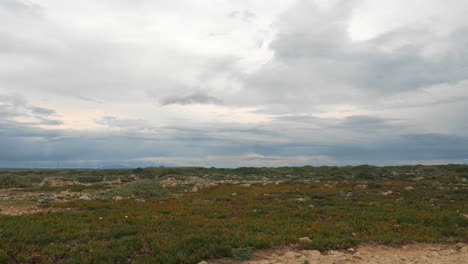 Plateau-Mit-Vegetation