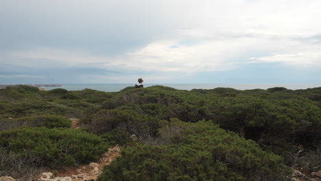 Chico-Adolescente-Explorando-El-Cabo-San-Vicente-Y-Caminando-Entre-Arbustos-Verdes-Portugal