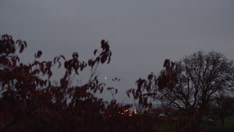 Airplane-is-landing-in-the-evening---view-through-the-branches