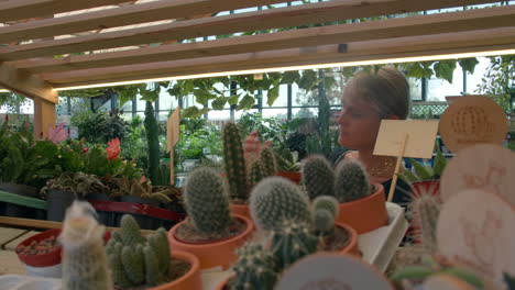 Woman-in-a-flower-shop-choosing-a-cactus
