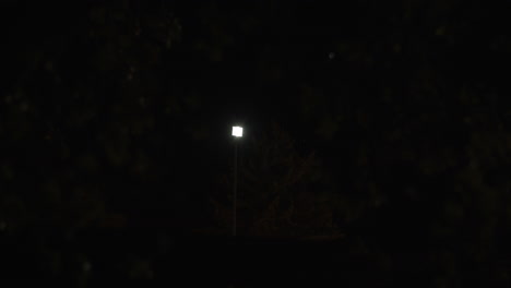 Flashing-spoiled-lantern-at-night-4