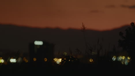 Blurs-city-lights