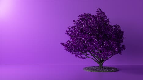 Baum-Im-Studio-Auf-Violettem-Hintergrund,-Der-Wind-Schüttelt-Äste-Und-Blätter-3D-Animation