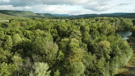 Strauchdickichte-Und-Feuchtgebiete-Mit-Blick-Auf-Die-Berge-In-Durham,-Arkansas,-Vereinigte-Staaten