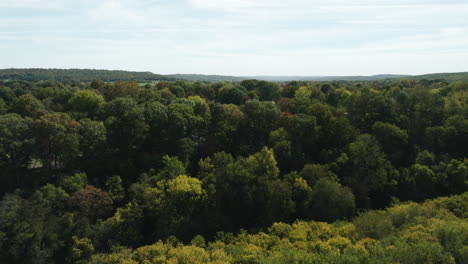 Beautiful-Lush-Green-Jungle-During-Autumn-In-Arkansas,-United-States---Drone-Shot