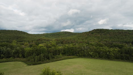 Forests-With-Dense-Thicket-And-Plains-In-The-Countryside-Of-Durham,-Arkansas,-United-States