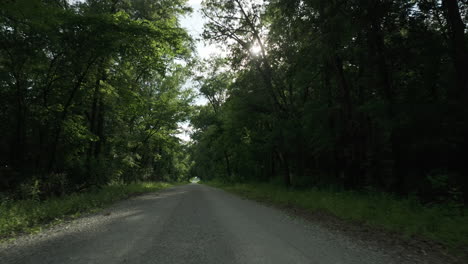 Peaceful-travel-along-a-woodland-road