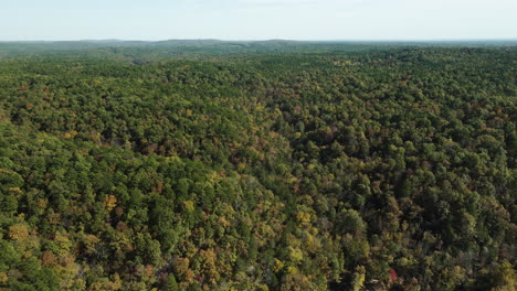 Grenzenloses-Panorama-Aus-Dichten-Wäldern,-üppig-Mit-Leuchtenden-Herbstfarben