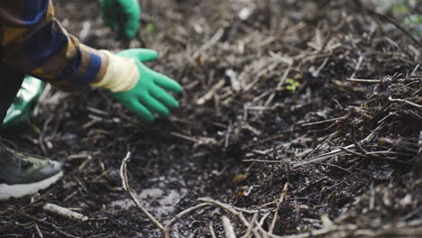 Nahaufnahme-Von-Handschuhen,-Die-Organische-Abfälle-Aus-Der-Gartenarbeit-Einsammeln
