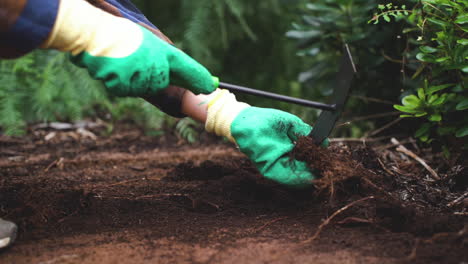 close-up-of-gardening-skilled-hands-weeding-in-the-garden-and-preparing-soil-for-the-next-sowing-of-new-plants