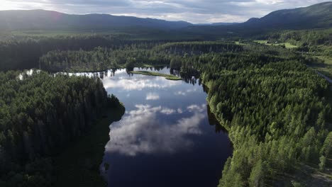 Flight-Above-Wild-River-In-Forest-At-Sunny-Weather,-Aerial-Norway