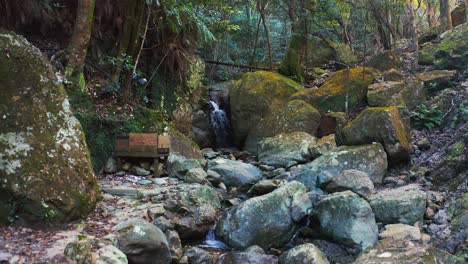 Forward-Push-Over-Mossy-Rocks-and-Mountain-Stream-in-Countryside-of-Japan
