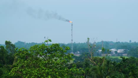 Gas-plant-station-in-forest-harming-and-polluting-environmental-ecosystem