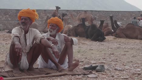 Einheimische-Indische-Männer-In-Traditionellen-Outfits-Mit-Ihren-Kamelen