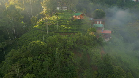 Establishing-Aerial-Drone-Shot-Around-Hill-with-Tea-Plantations-and-Huts-on-Sunny-and-Misty-Morning-in-Ella-Sri-Lanka