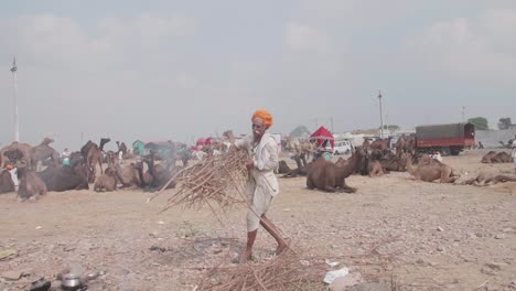 Under-hot-Indian-sky,-local-man-collects-firewood-to-boil-drinking-water
