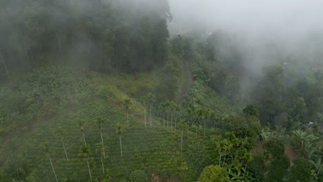 Erstellung-Einer-Luftdrohnenaufnahme-Von-Hügeln-Und-Bahnlinien-Mit-Bäumen-Und-Teeplantagen-An-Einem-Nebligen-Morgen-In-Ella,-Sri-Lanka