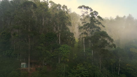 Luftdrohne-Schoss-An-Einem-Nebligen-Morgen-In-Sri-Lanka-In-Der-Nähe-Der-Neun-Bögen-Brücke-Um-Bäume-Herum