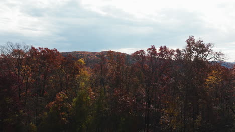 Autumn-Trees-In-Scenic-Landscape-Of-Arkansas,-USA---Drone-Shot