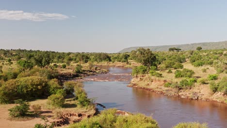 Toma-Aérea-De-Drones-Del-Río-Masai-Mara-De-Hermosos-Paisajes-En-áfrica,-Masai-Mara-En-Kenia-Estableciendo-Una-Amplia-Vista-Desde-Lo-Alto-Con-árboles-Verdes-Y-Una-Exuberante-Escena-Verde