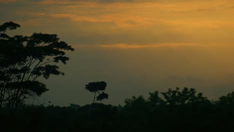 Sonnenuntergang-Oder-Sonnenaufgang-Im-Tropischen-Wald-Und-Silhouette-Von-Bäumen-Und-Fliegenden-Vögeln,-Die-Sich-Auf-Den-Ästen-Schmiegen