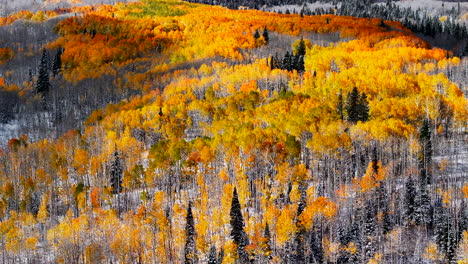 Vogelperspektive-Kebler-Pass-Colorado-Espe-Baum-Bunt-Gelb-Rot-Orange-Wald-Frühherbst-Winter-Erster-Schnee-Rocky-Mountains-Breckenridge-Keystone-Vail-Espe-Telluride-Silverton-Ouray-Rechte-Bewegung