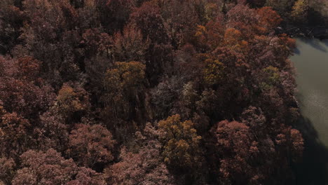 Aerial-View-Of-Colorful-Autumn-Forest-In-Lake-Fort-Smith-State-Park,-Arkansas,-United-States---Drone-Shot