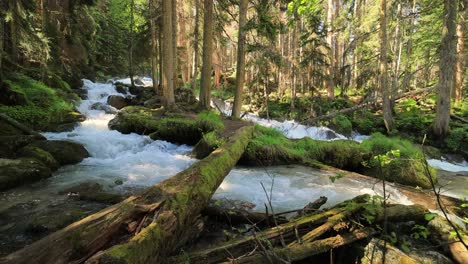 Mountain-River-in-the-wood.-Beautiful-wildlife-landscape.