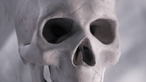 Horror-Concept-The-White-Plaster-Skull-Shatters-Into-Many-Diamond-Shards-Shards-of-Glass-Closeup-3d