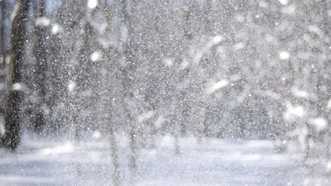 Winter-landscape-during-snowfall.-Winter-Christmas-abstract-background-on-super-slow-motion.
