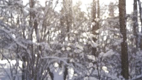 Winterlandschaft-Bei-Schneefall.-Abstrakter-Hintergrund-Für-Winterweihnachten-In-Superzeitlupe.