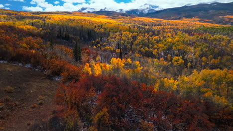 Kebler-Pass-Aspen-Tree-Forest-largest-organism-Crested-Butte-Telluride-Vail-Colorado-cinematic-aerial-drone-red-yellow-orange-first-snow-white-Rocky-Mountains-landscape-dramatic-fall-winter-reveal-up