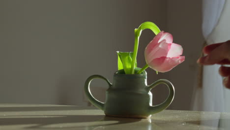Tulip-elegantly-arranged-in-a-handcrafted-vase,-beautifully-showcased-against-a-backlit-countertop