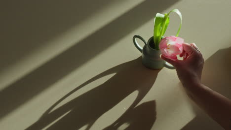 Wunderschöne-Tulpe,-Arrangiert-In-Einer-Handgefertigten-Vase,-Wunderschön-Präsentiert-Vor-Einer-Von-Hinten-Beleuchteten-Arbeitsplatte