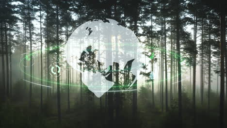 Sustainability-concept,-Globe-with-ecologic-icons-with-foggy-forest-background