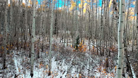 Aspen-Tree-Forest-aerial-cinematic-drone-Kebler-Pass-Crested-Butte-Gunnison-Colorado-seasons-collide-early-fall-aspen-tree-red-yellow-orange-forest-winter-first-snow-powder-Rocky-Mountains-forward