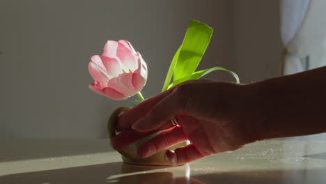 Tulpe,-Elegant-Arrangiert-In-Einer-Handgefertigten-Vase,-Wunderschön-Präsentiert-Vor-Einer-Hinterleuchteten-Arbeitsplatte