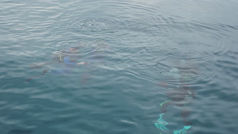 Eine-Gruppe-Von-Tauchern-Taucht-Langsam-In-Das-Klare-Meerwasser-Hinab-Und-Ihre-Blasen-Bilden-Eine-Spur