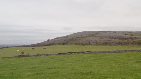 Panoramaaufnahme-Von-Einem-Irischen-Feld-In-Der-Grafschaft-Clare