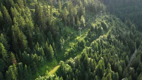 Cable-Car-Above-Green-Forest-In-Austrian-Alps