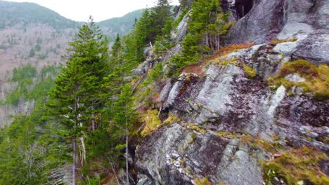 Jagged-exposed-rocky-cliff-supports-coniferous-trees-as-snow-flurries-fall-in-Mount-Washington-New-Hampshire