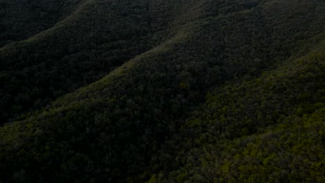 Rising-drone-shot-of-the-forest-filled-mountains-surrounding-Monterrey,-Mexico