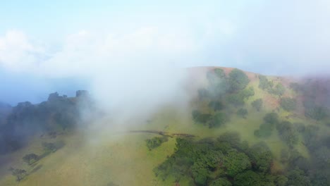 Toma-Aérea-Del-Bosque-Fanal-En-Madeira-Con-Nubes-De-Niebla,-Sitio-De-La-Unesco