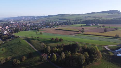 Reveal-shot-of-small-village-located-not-far-from-the-farm-and-fields-in-Switzerland,-panorama