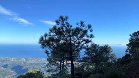 Stunning-view-from-Sierra-Bermeja-mountain-top-with-green-trees-and-forest-in-Spain,-fun-hiking,-4K-shot