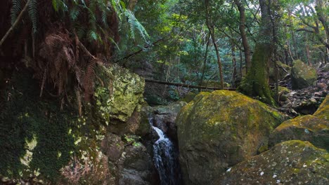 Japanese-Forested-Hiking-Trail-Along-Small-Waterfall-Stream,-Pullback-Shot