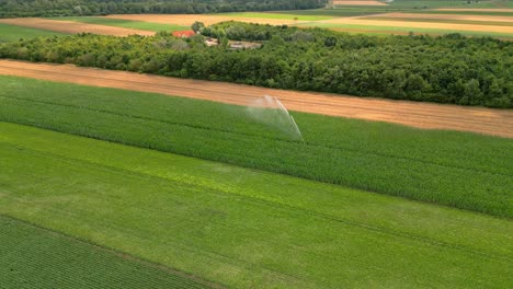 Automatischer-Bewässerungssprinkler,-Der-Die-Grünen-Pflanzen-Auf-Den-Feldern-Auf-Dem-Land-Bewässert